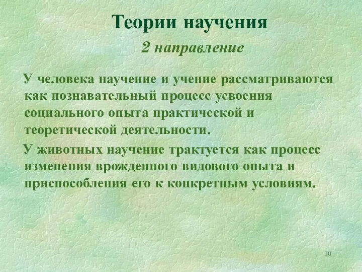 Теории научения 2 направление У человека научение и учение рассматриваются как познавательный процесс