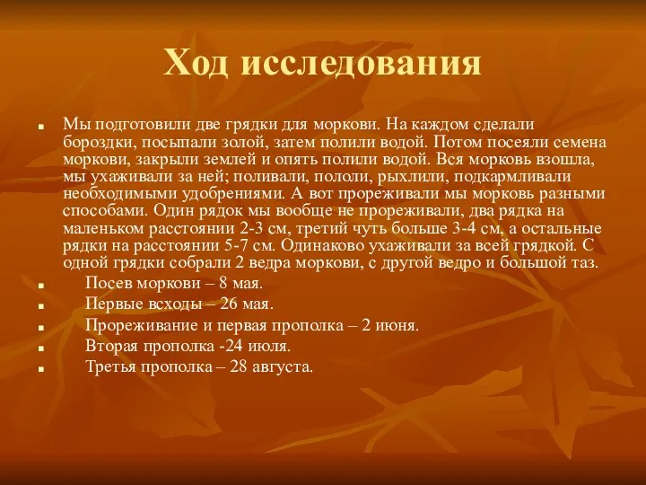 Ход исследования Мы подготовили две грядки для моркови. На каждом сделали бороздки, посыпали