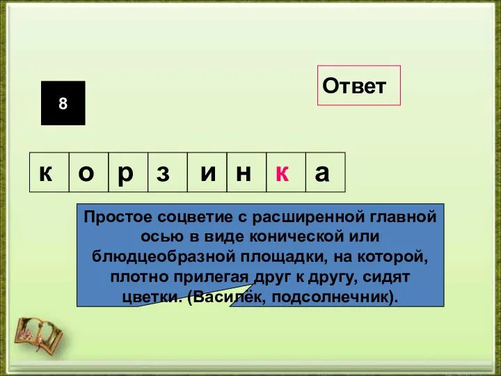 8 Простое соцветие с расширенной главной осью в виде конической или блюдцеобразной площадки,