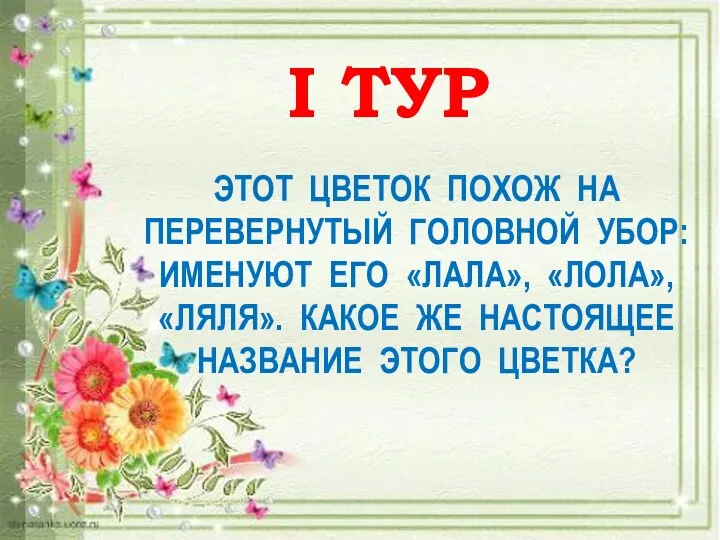 этот цветок похож на перевернутый головной убор: именуют его «лала»,