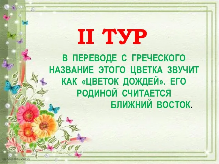 II ТУР в переводе с греческого название этого цветка звучит как «цветок дождей».