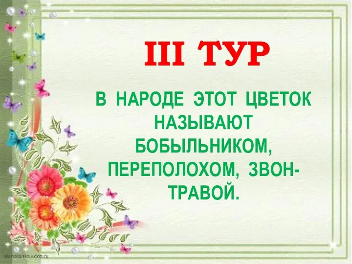 III ТУР В НАРОДЕ ЭТОТ ЦВЕТОК НАЗЫВАЮТ БОБЫЛЬНИКОМ, ПЕРЕПОЛОХОМ, ЗВОН-ТРАВОЙ.