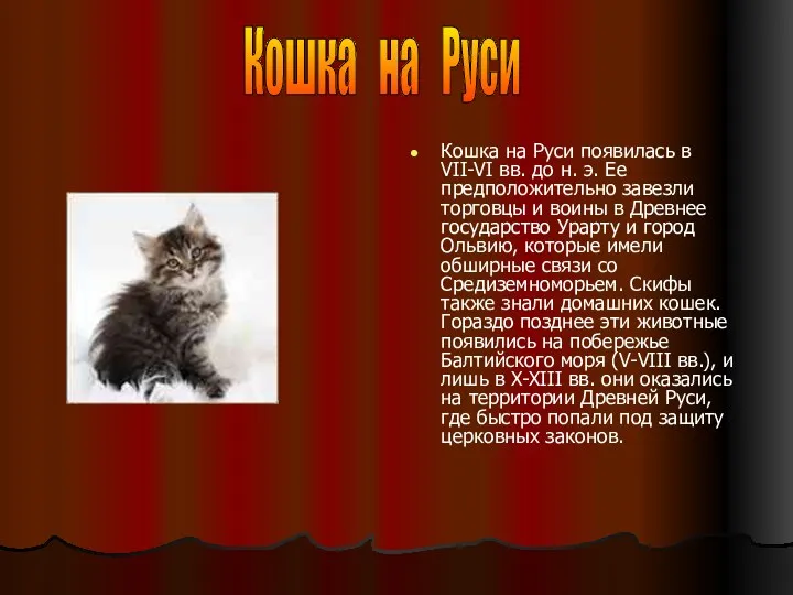 Кошка на Руси появилась в VII-VI вв. до н. э. Ее предположительно завезли