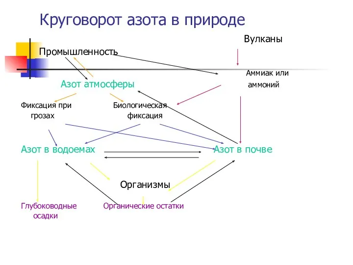 Круговорот азота в природе Вулканы Промышленность Аммиак или Азот атмосферы