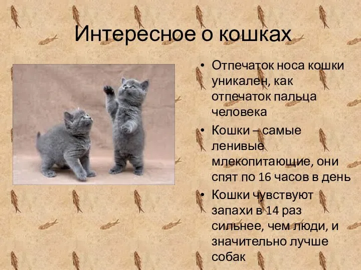 Интересное о кошках Отпечаток носа кошки уникален, как отпечаток пальца