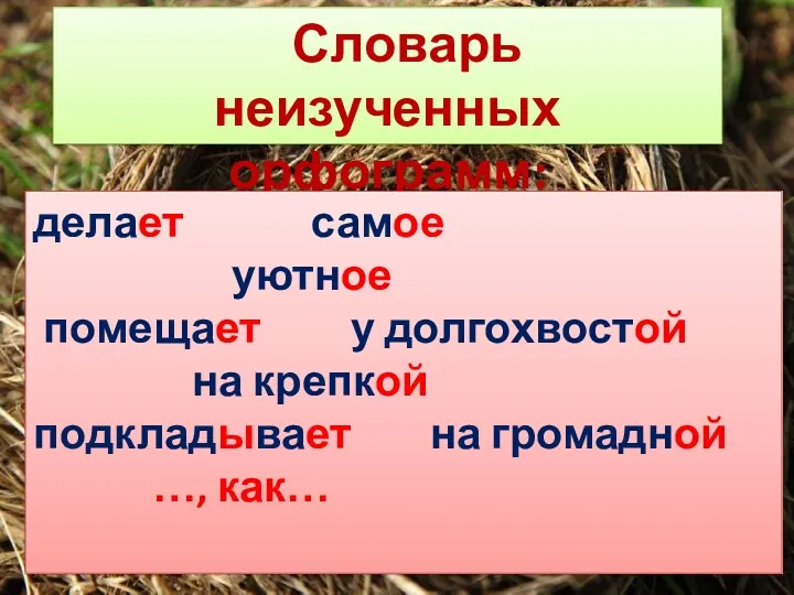 Словарь неизученных орфограмм: делает самое уютное помещает у долгохвостой на крепкой подкладывает на громадной …, как…