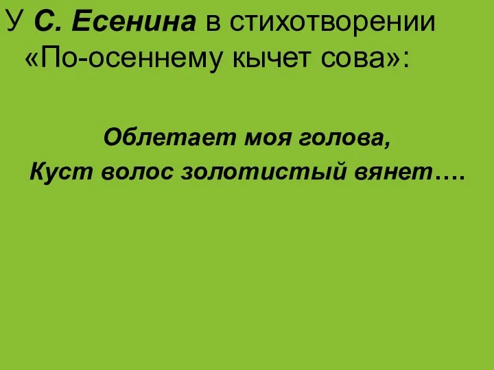 У С. Есенина в стихотворении «По-осеннему кычет сова»: Облетает моя голова, Куст волос золотистый вянет….