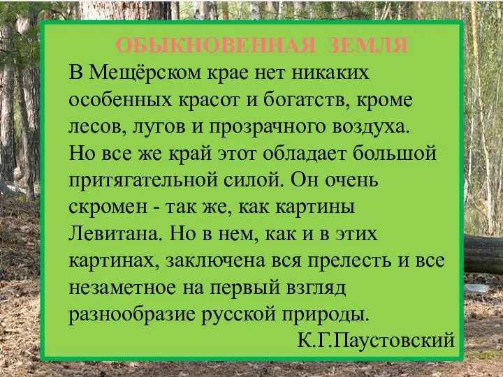 ОБЫКНОВЕННАЯ ЗЕМЛЯ В Мещёрском крае нет никаких особенных красот и