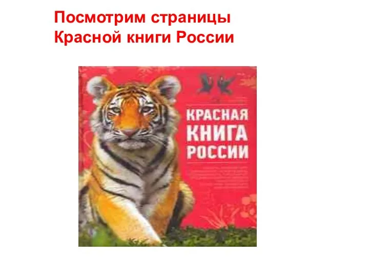 Посмотрим страницы Красной книги России