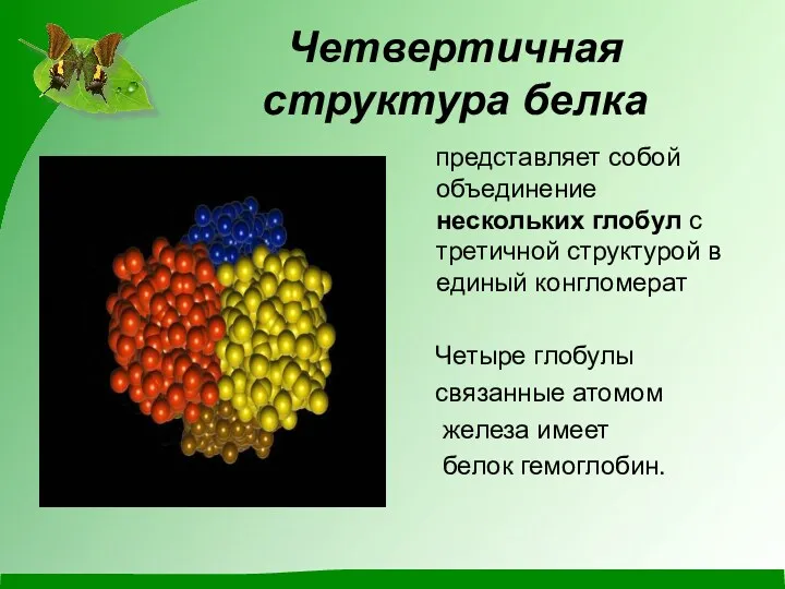 Четвертичная структура белка представляет собой объединение нескольких глобул с третичной