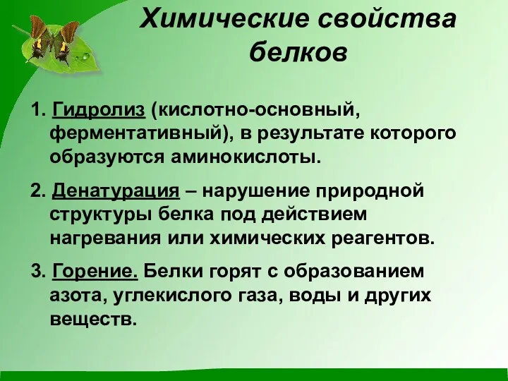 Химические свойства белков 1. Гидролиз (кислотно-основный, ферментативный), в результате которого