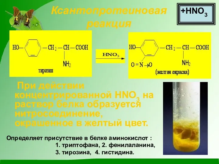 Ксантопротеиновая реакция При действии концентрированной НNО3 на раствор белка образуется