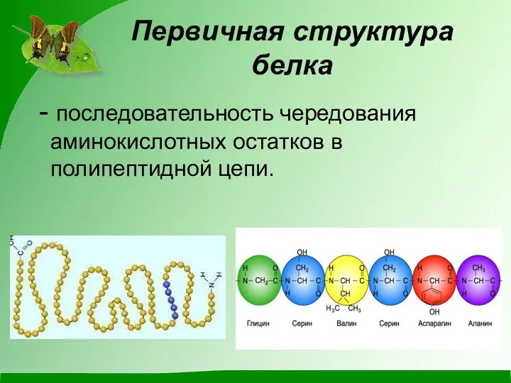 Первичная структура белка - последовательность чередования аминокислотных остатков в полипептидной цепи.