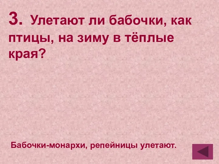 3. Улетают ли бабочки, как птицы, на зиму в тёплые края? Бабочки-монархи, репейницы улетают.