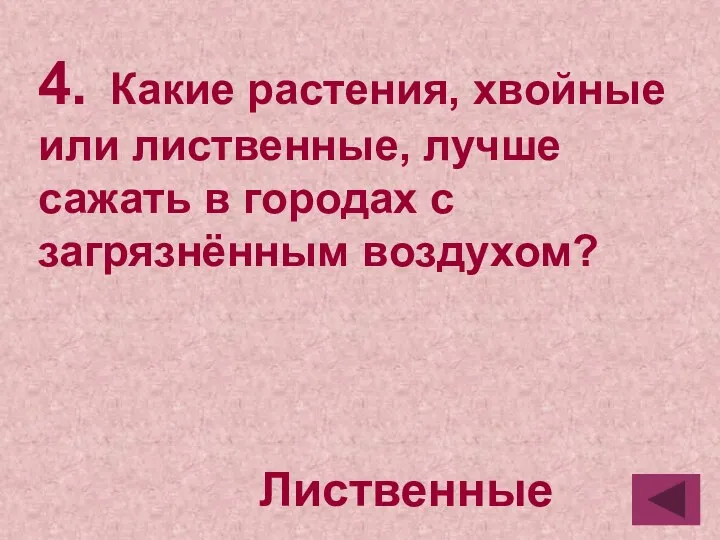 4. Какие растения, хвойные или лиственные, лучше сажать в городах с загрязнённым воздухом? Лиственные