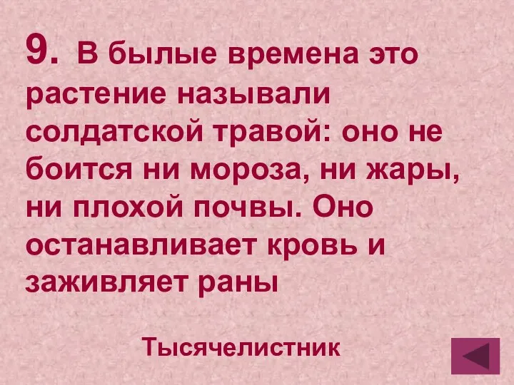 9. В былые времена это растение называли солдатской травой: оно