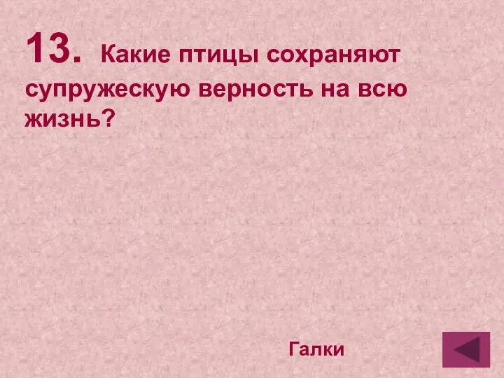 13. Какие птицы сохраняют супружескую верность на всю жизнь? Галки