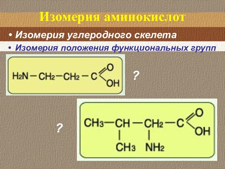 Изомерия аминокислот Изомерия углеродного скелета Изомерия положения функциональных групп ? ?