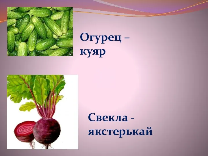 Огурец – куяр Свекла - якстерькай