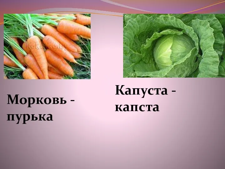 Морковь - пурька Капуста - капста