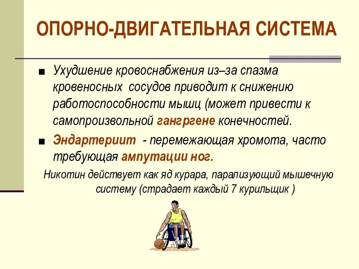 ОПОРНО-ДВИГАТЕЛЬНАЯ СИСТЕМА Ухудшение кровоснабжения из–за спазма кровеносных сосудов приводит к снижению работоспособности мышц