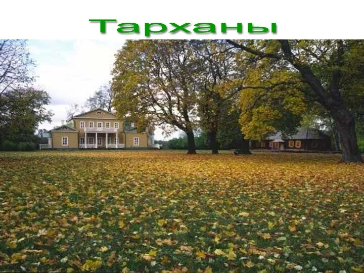 Тарханы