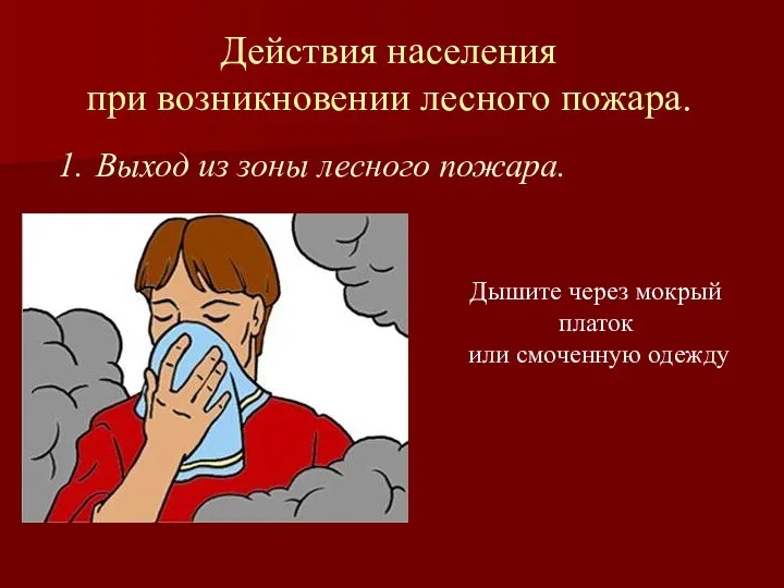 Действия населения при возникновении лесного пожара. Выход из зоны лесного