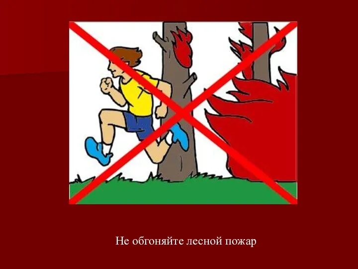 Не обгоняйте лесной пожар