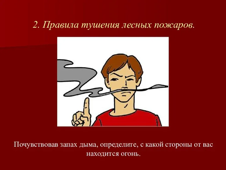 Почувствовав запах дыма, определите, с какой стороны от вас находится огонь. 2. Правила тушения лесных пожаров.