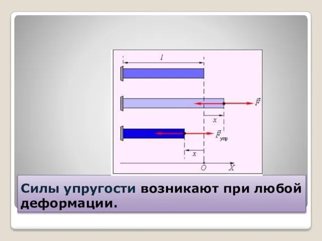 Силы упругости возникают при любой деформации.