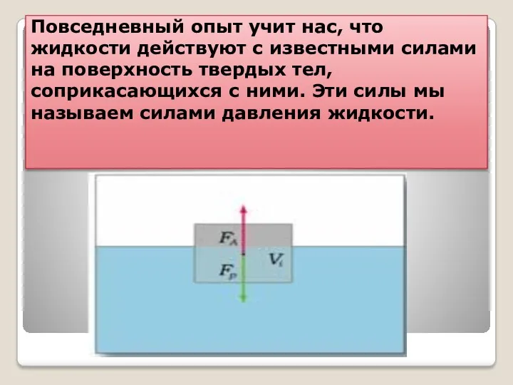 Повседневный опыт учит нас, что жидкости действуют с известными силами