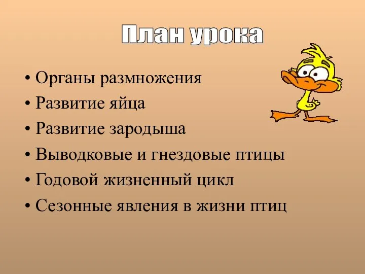 Органы размножения Развитие яйца Развитие зародыша Выводковые и гнездовые птицы