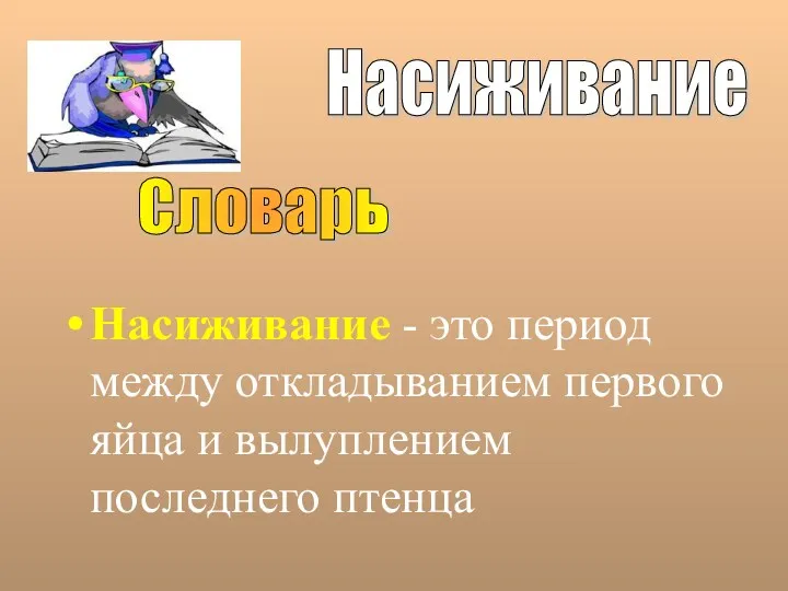 Насиживание - это период между откладыванием первого яйца и вылуплением последнего птенца Насиживание Словарь