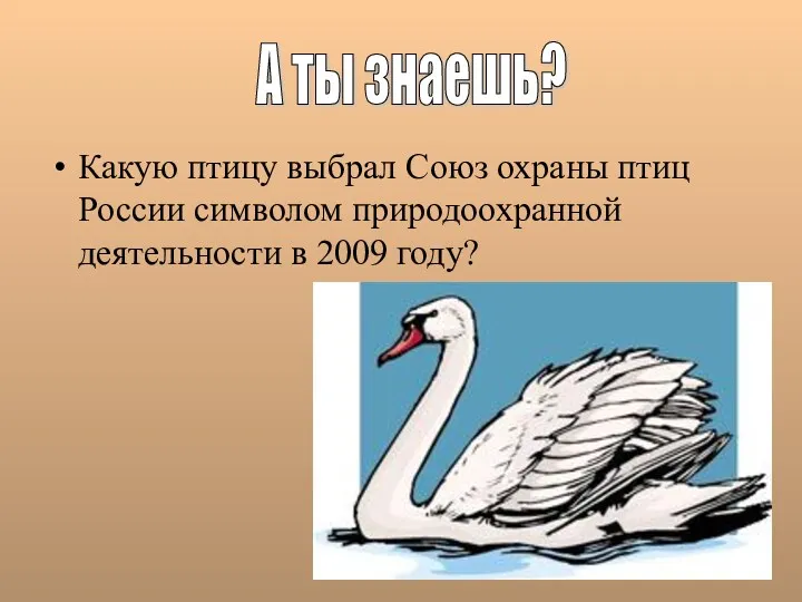 Какую птицу выбрал Союз охраны птиц России символом природоохранной деятельности в 2009 году? А ты знаешь?