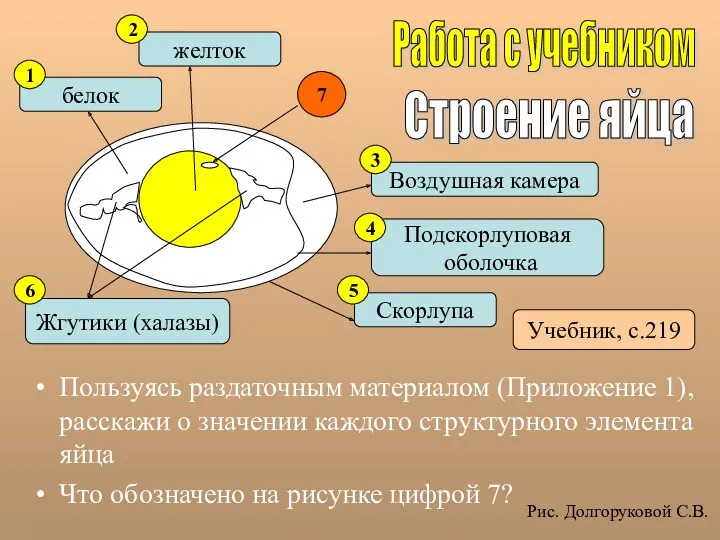 Пользуясь раздаточным материалом (Приложение 1), расскажи о значении каждого структурного