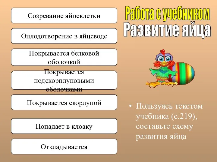 Пользуясь текстом учебника (с.219), составьте схему развития яйца Развитие яйца