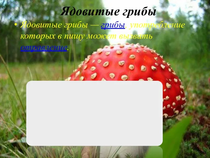 Ядовитые грибы Ядовитые грибы — грибы, употребление которых в пищу может вызвать отравление.