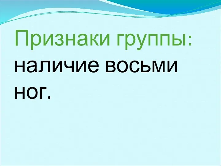 Признаки группы: наличие восьми ног.