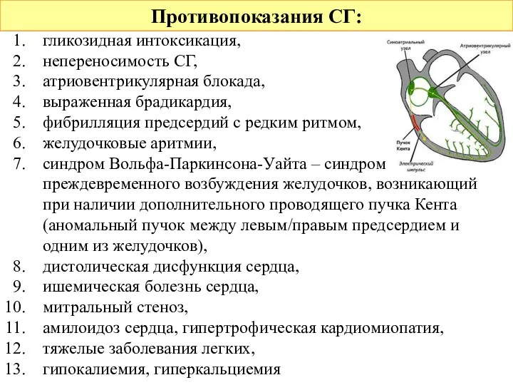 Противопоказания СГ: гликозидная интоксикация, непереносимость СГ, атриовентрикулярная блокада, выраженная брадикардия,