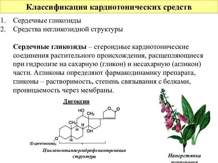 Классификация кардиотонических средств Сердечные гликозиды Средства негликозидной структуры Сердечные гликозиды