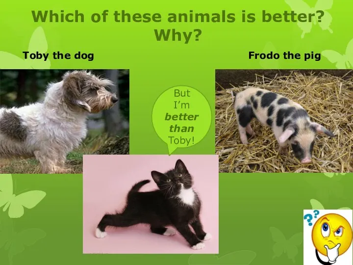 Toby the dog Frodo the pig Which of these animals