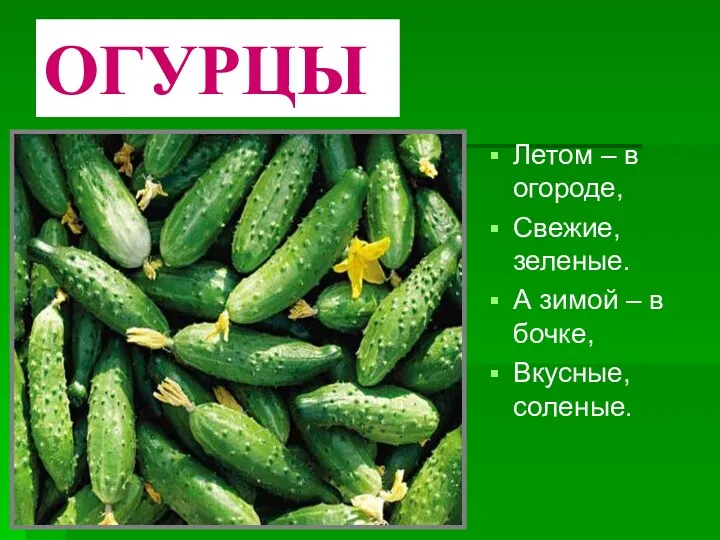 ОГУРЦЫ Летом – в огороде, Свежие, зеленые. А зимой – в бочке, Вкусные, соленые.