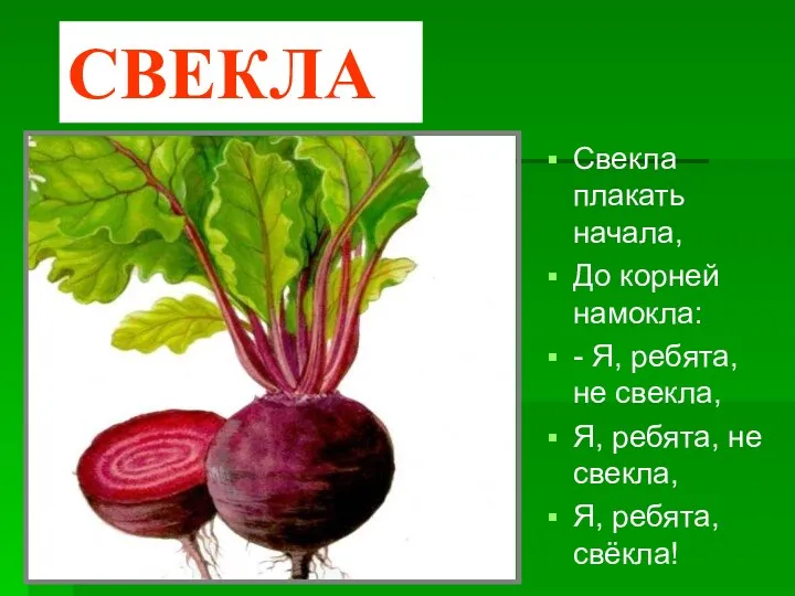 СВЕКЛА Свекла плакать начала, До корней намокла: - Я, ребята,