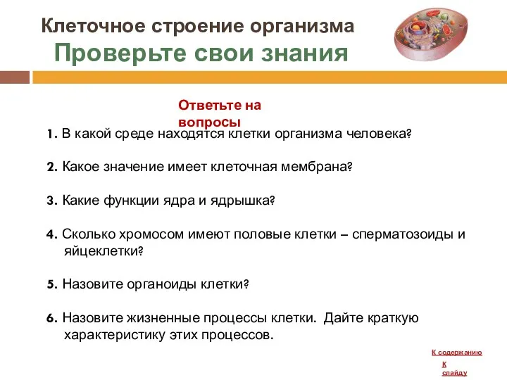 Клеточное строение организма Проверьте свои знания 1. В какой среде находятся клетки организма