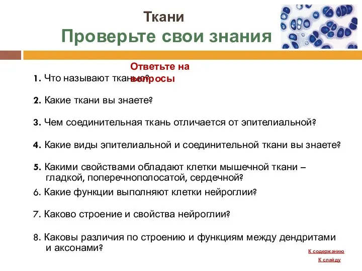 Ткани Проверьте свои знания 1. Что называют тканью? 2. Какие ткани вы знаете?