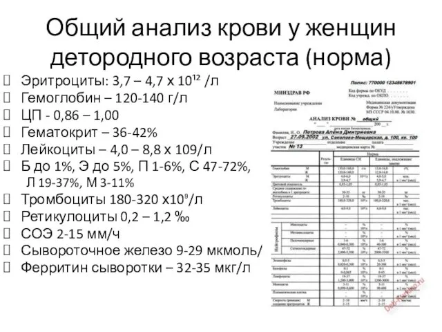 Общий анализ крови у женщин детородного возраста (норма) Эритроциты: 3,7