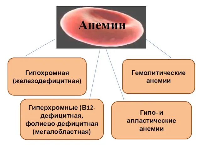 Гипохромная (железодефицитная) Гиперхромные (В12-дефицитная, фолиево-дефицитная (мегалобластная) Гипо- и апластические анемии Гемолитические анемии Анемии