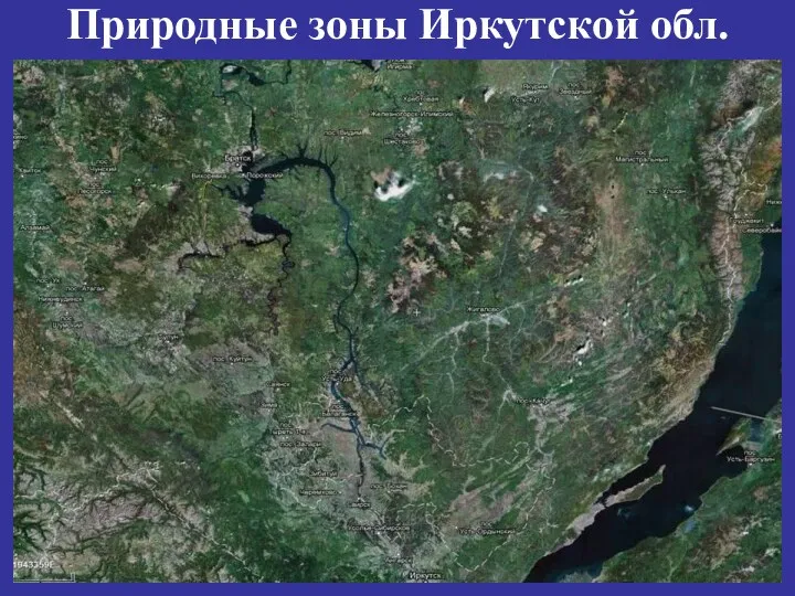 Природные зоны Иркутской обл.