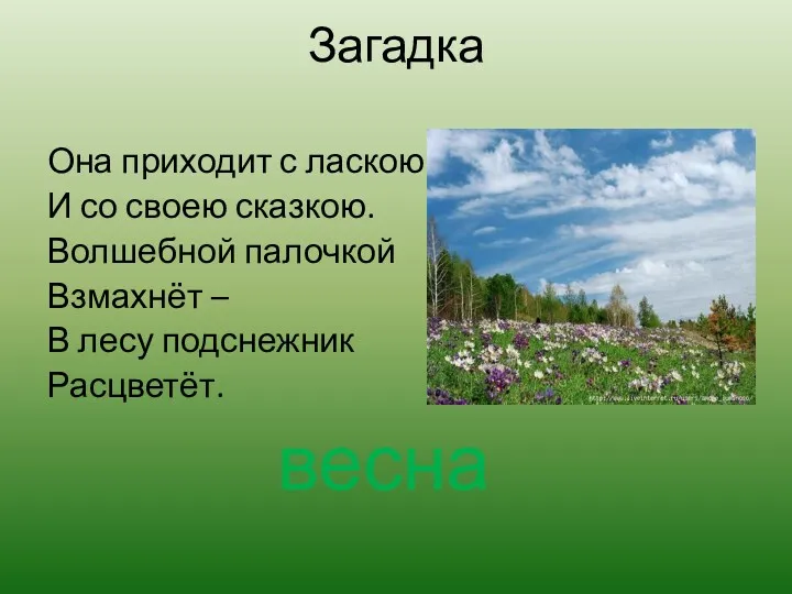 Загадка Она приходит с ласкою И со своею сказкою. Волшебной