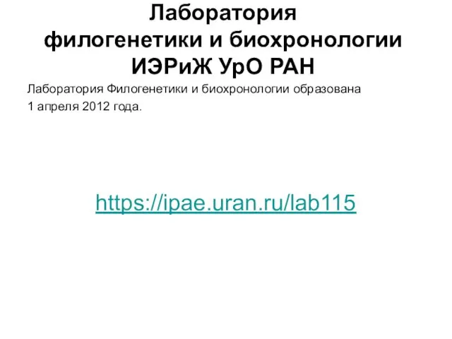 Лаборатория филогенетики и биохронологии ИЭРиЖ УрО РАН Лаборатория Филогенетики и биохронологии образована 1